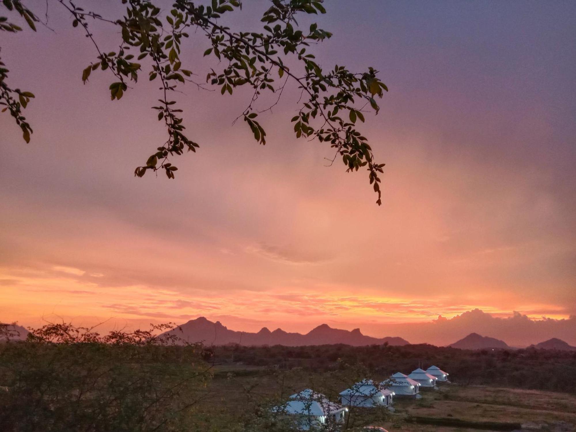 Hotel The Bagheera Bagh Jawai Bera Zewnętrze zdjęcie