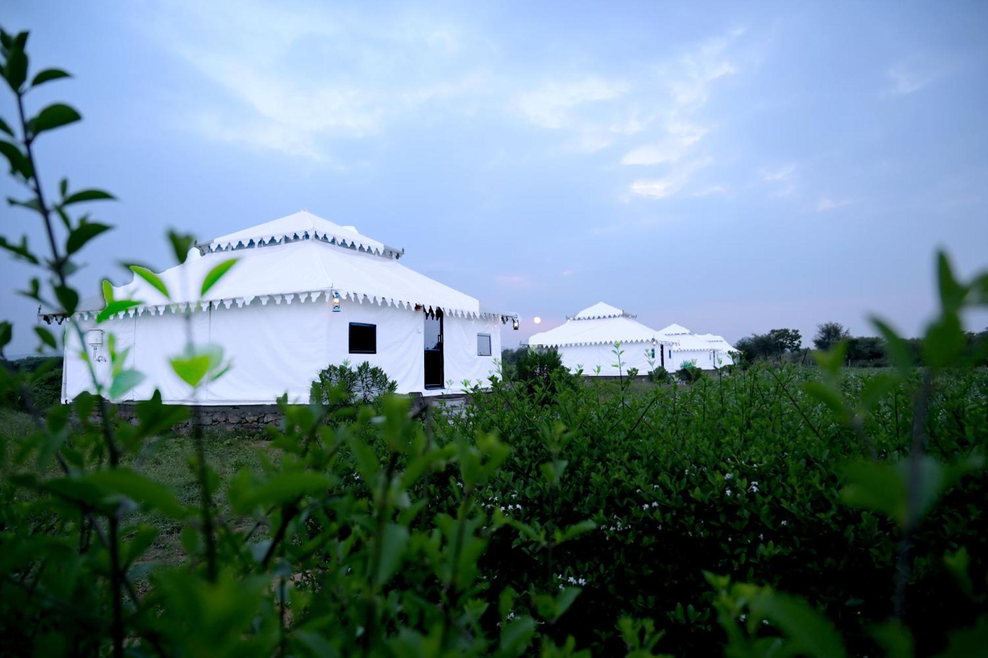 Hotel The Bagheera Bagh Jawai Bera Zewnętrze zdjęcie